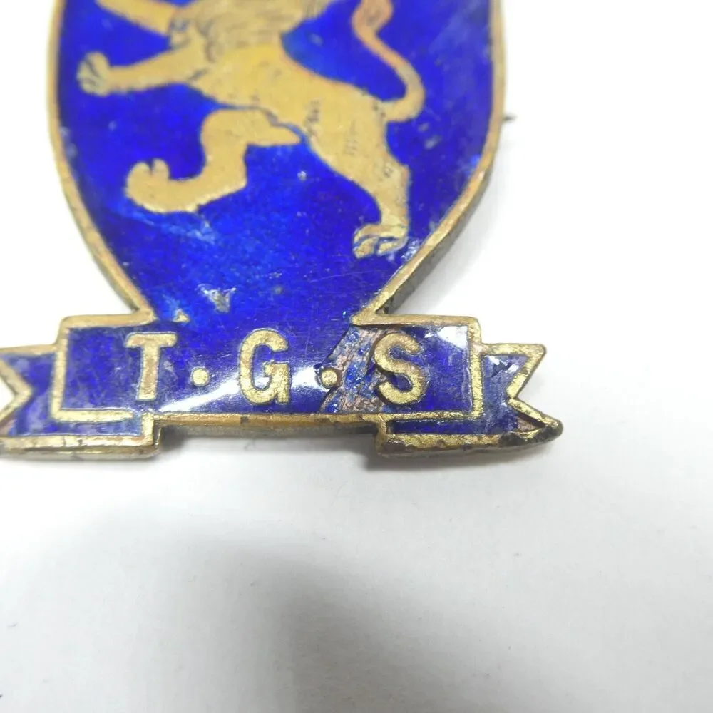 TGS Takapuna Grammar School New Zealand Lion Shield Pin Blue Enamel Vintage